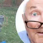 Dīvains atklājums pie koka lika kaimiņam neizpratnē: kādu noslēpumu viņa