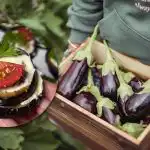 Garšīgi kā restorānā: ideāla uzkoda no vienkāršām sastāvdaļām Garšīgi kā restorānā: ideāla uzkoda no vienkāršām sastāvdaļām