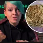 Kā izvēlēties zaļmēslojumu un pārsteigt kaimiņus ar ražu: dārznieks sniedza