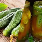 Kā ziemai ieklāt gurķus čili kečupā: 3 nesalīdzināmas receptes