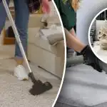 Nepaliks nekādas pēdas: 7 soļi, lai noņemtu urīna smaku no