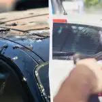 Putni vairs nesmādēs uz automašīnām: lūk, kas jums jādara