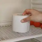 Vācieši pārbaudīja: kāpēc ledusskapī likt tetes papīru?