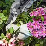 Kurus augus aprīlī noteikti vajag apgriezt: dārznieks nosauca 5 galvenos Kurus augus aprīlī noteikti vajag apgriezt: dārznieks nosauca 5 galvenos